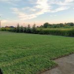 Rozłożona trawa u klienta