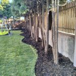 Przedszkole Warszawa